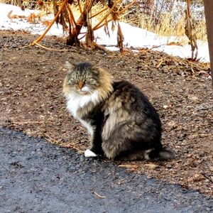 Meet your Posher, Genevieve